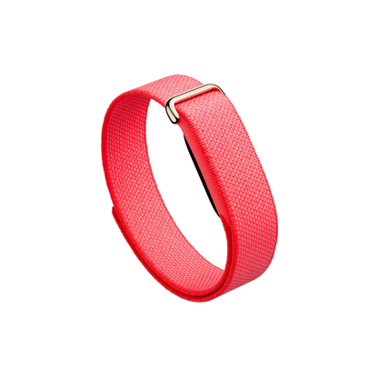 Google Fitbit Air Fitness Band