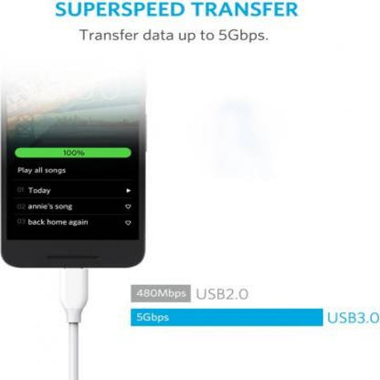 Anker PowerLine USB-C To USB 3.0 Cable 3ft/0.9m