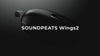 SOUNDPEATS WINGS 2 SPORTS WIRELESS HEADPHONES